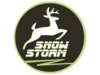 Snowstorm